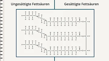 Was bedeutet in der Chemie ungesättigt?