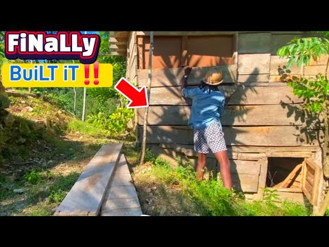 مبنى بوشكرافت سولو حياة خارج الشبكة جامايكا ناتور استجابة تلقائية للضوء 