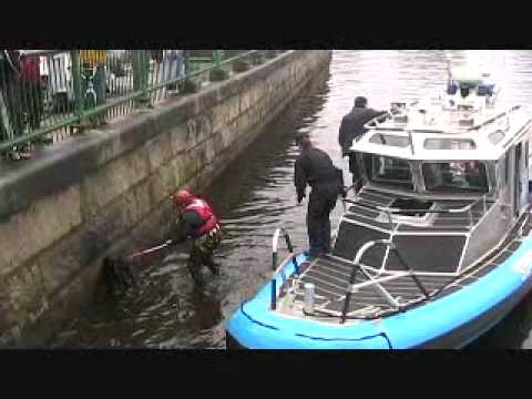 Dog Rescued from Boston's Charles River