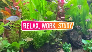 2-hours CLASSIC Ambient Calm SOOTHING Music Wonderful Relaxing to Relieve Stress Meditate Work Sleep