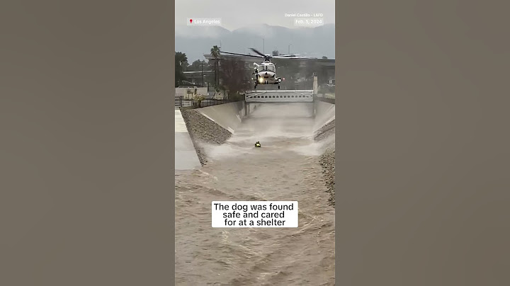 Man trying to save dog rescued by helicopter