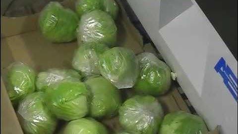 Veggiepack lettuce & broccoli