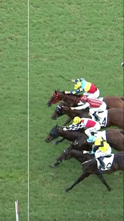 OH MY 🤯 Have you ever seen a photo finish between FOUR horses!? Who won? 👀 🎥 HKJC_Racing