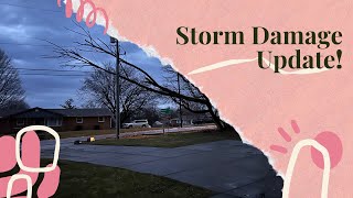 Storm Damage Update!