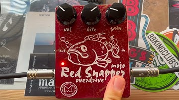 Menatone Red Snapper Mojo