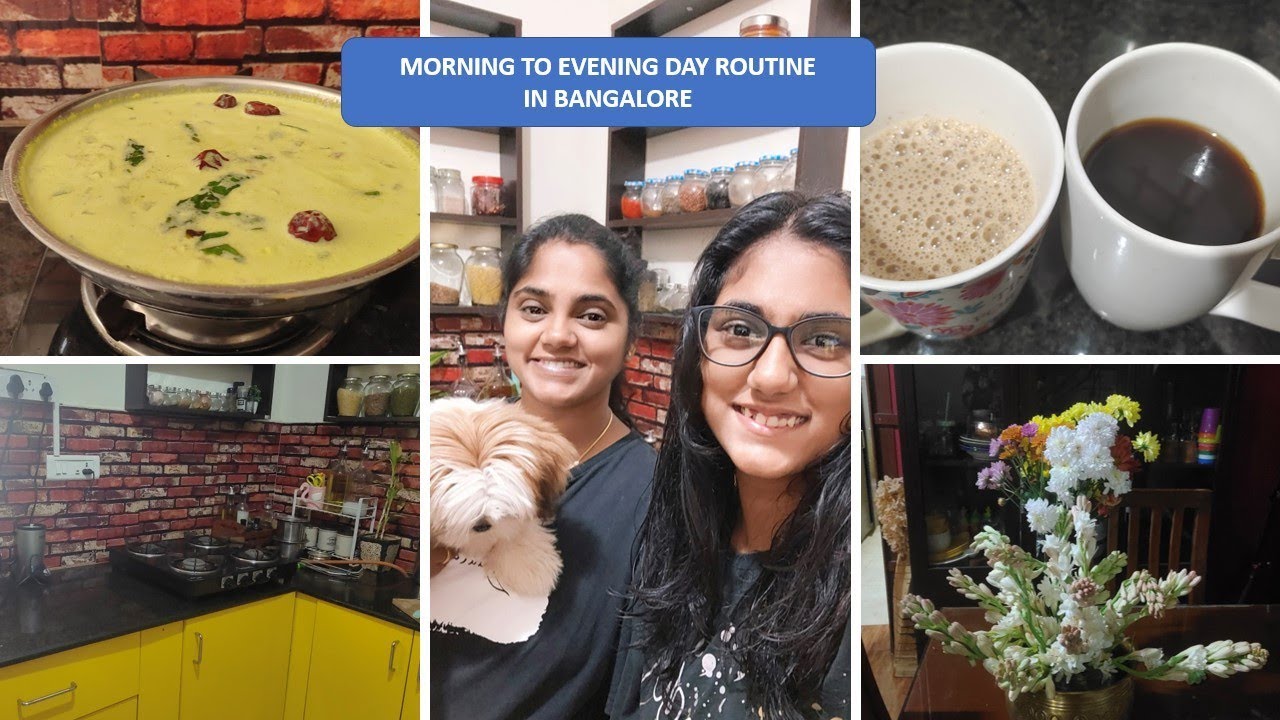Morning to Evening Routine in Bangalore | Tamilvlog #priyamudan Abi #day #tamilvlog