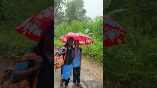 Relaxing Rain Sounds for Deep Sleep, Study & Stress Relief Ambience 🌧️”