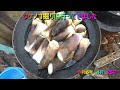 たけのこ掘りに行ってきました。