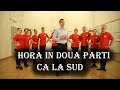 CUM SA DANSEZI "HORA IN DOUA PARTI CA LA SUD" ! ! !