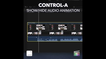 Final Cut Pro Shortcut | Control-A | Show/Hide Audio Animation