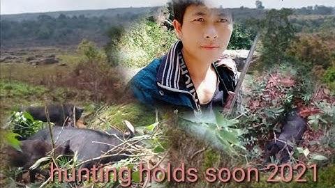 Hunting yos hav zoov tuas sai lom zem heev