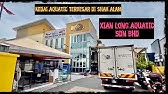 Jalilshar Jalan Jalan Beli Ikan Di I Love Aquazoom Kota Damansara Youtube