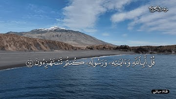 بكى الشيخ #رعد_الكردي في تلاوته حينما استهزءوا بالنبي😭قل أبالله وآياته ورسوله كنتم تستهزءون _ التوبة