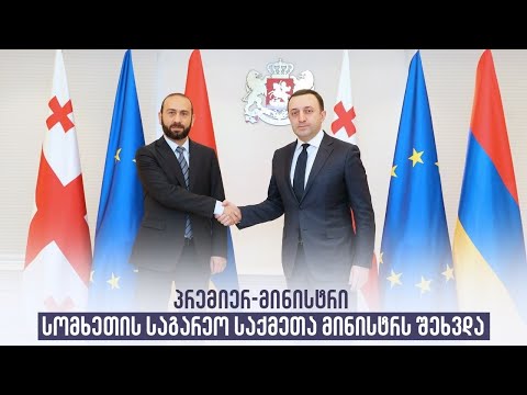 პრემიერ-მინისტრი სომხეთის საგარეო საქმეთა მინისტრს შეხვდა