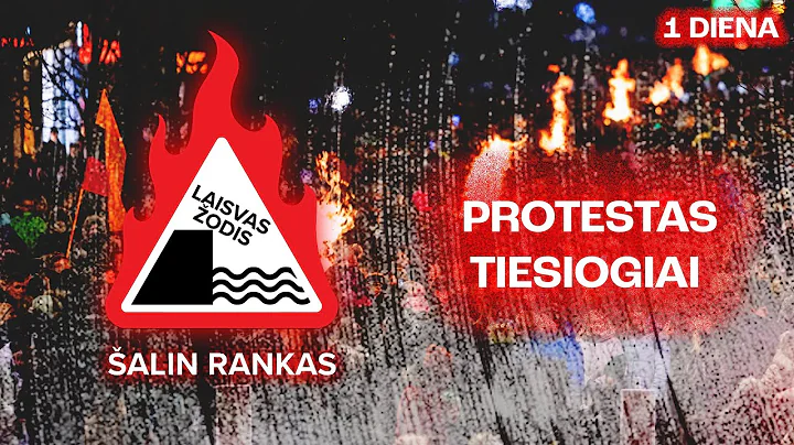 Laužai prie Seimo: Šalin rankas nuo laisvo žodžio! | Pirma diena | TIESIOGIAI