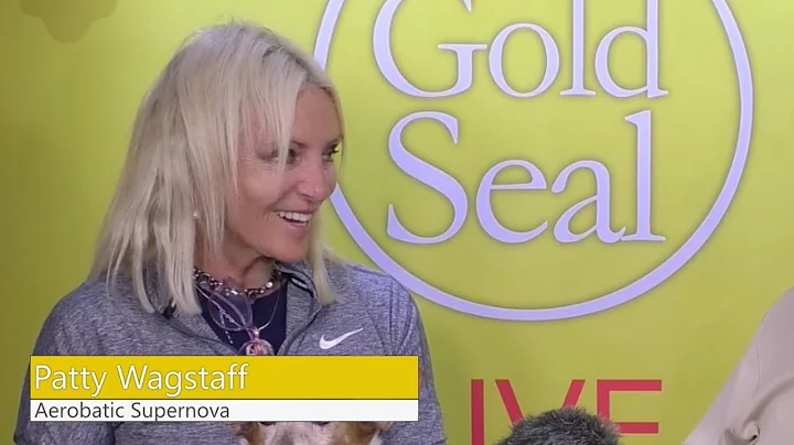Patty Wagstaff Interview at Sun 'n Fun 2018