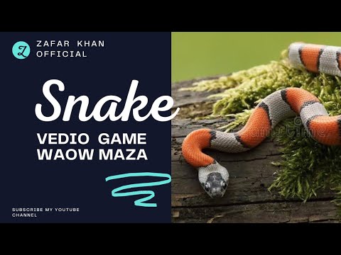 Snake Game Javascript,Javascript Tutorial,Javascript Project