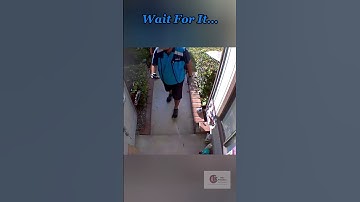 Amazon Prime Driver Caught on Camera Doing This.... LOL😂 🤣