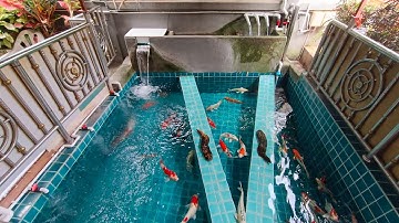 Max มันตา/ บ้านคุณแม่ - งานปรับปรุงระบบกรองสำหรับบ่อปลาคาร์พ เปลี่ยนวัสดุกรอง เพิ่มเติมกรองบน Set 4