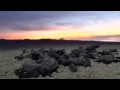 Mùa rùa nở trên bãi biển Mexico