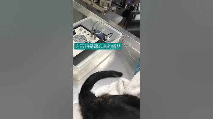 荳荳身體健康檢查 - 天天要聞
