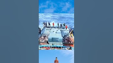 Các cần thủ ra khơi câu cá vớ được lộc trời cho