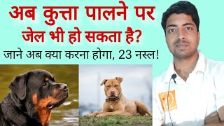 कुत्तों के कारन जेल भी जाना पर सकता है! 😨 by Pomtoy Anurag 11,742 views 2 months ago 4 minutes, 45 seconds