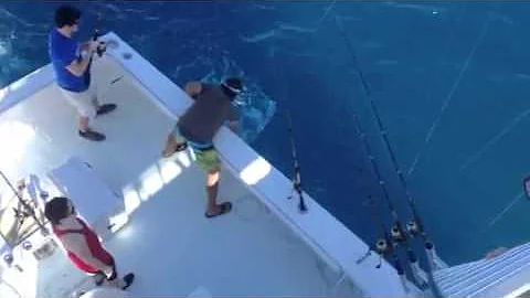 Key West Sailfish