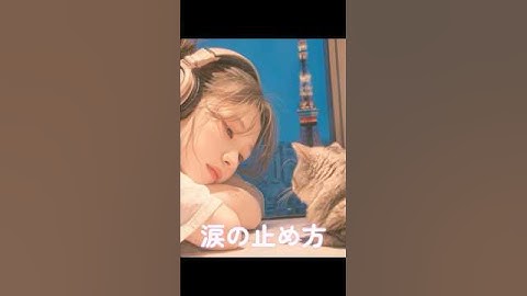 涙の止め方：猫と過ごす静かなLofi【失恋・チル・夜用】
