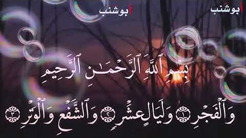 حالات واتساب قران كريم سورة الفجر
