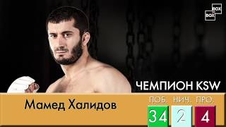 Мамед Халидов - о UFC, Левандовски и планах на будущее.