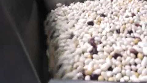 white kidney Beans optical color sorter/optical sortex:86-15375270976