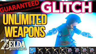 EASY Botw Glitch - Unlimited Hylian Shields, Twilight Bows &amp; ALL Items in Zelda Breath of the Wild