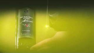 Spot Galantino English