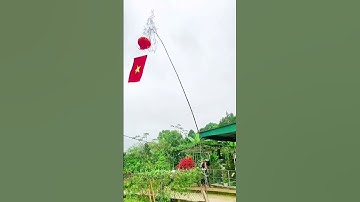 dựng cây nêu ngày tết VIỆT NAM