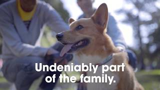 Global Pet Foods - Get Summer Ready