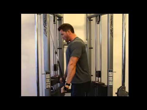 Triceps Pushdowns (Cable) - Standing/Long Handles