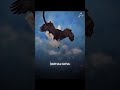 بالحب يا ابني مسمعين  اكسبلور كوميديات  دويتو  تصميم فيديوهات ترند تصميمي