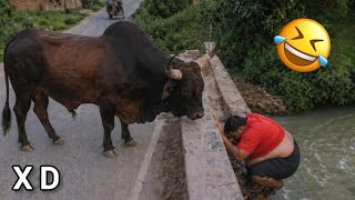 TRY NOT TO LAUGH 😆 Best Funny Videos Compilation 😂😁😆 Memes PART 11