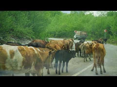 Путешествие в Северную