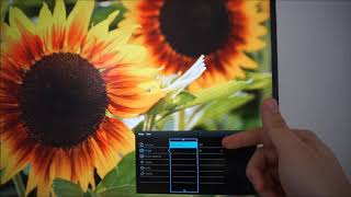 BenQ EW2770QZ - PC Monitors