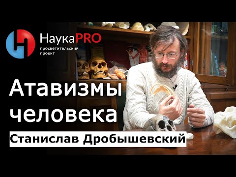 Чудеса планеты. Невероятные места Земли в существование которых сложно поверить!