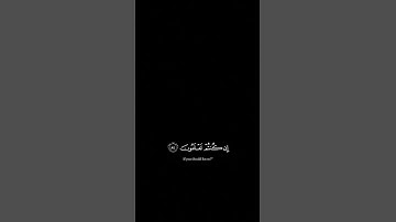 راحه نفسيه 😌 عندما أسمع القران الكريم 🤍 #قرآن #راحة_نفسية #الرحمن #المصحف #قران_كريم