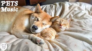 Healing Music For Stressed Dog & Cat! Music That Give COMFORT To Pet |Anxiety Relief, Deep Sleep