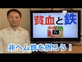 貧血の基礎そして非ヘム鉄の重要性を学ぼう【栄養チャンネル信長】