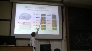 Bioseminars.ru: Кирилл Нурский