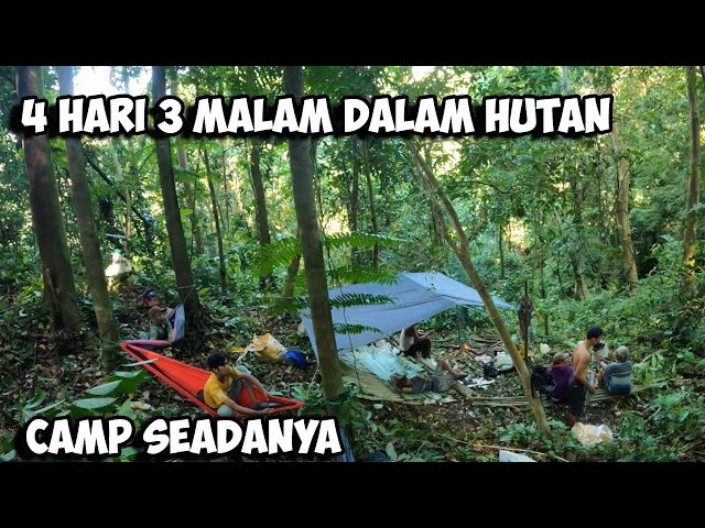 Camping Fishing Adventure Petualangan Hutan Belantara Sumatera Cari Madu Sialang Survival Part 39 class=