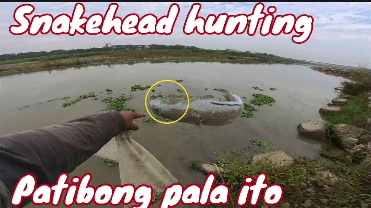 Muntikan na ako?may patibong sa gilid ng ilog!