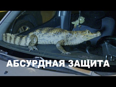 Самая абсурдная защита от угона