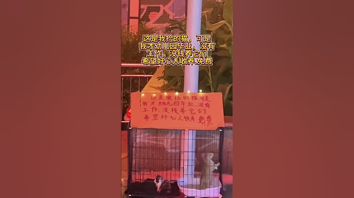 超有爱心的小孩哥，像个小天使一样。#暖心一幕 #小孩哥 #超有爱的瞬间 #画一个故事 #艺术在抖音 （素材来自@压岁钱养猫的小孩哥 ）